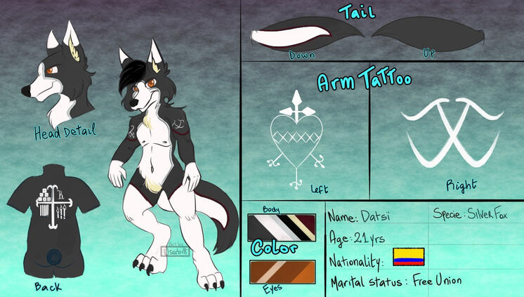 Clean fullboy and body details